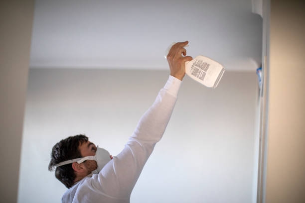 Best Fast Mold Removal  in Danville, CA