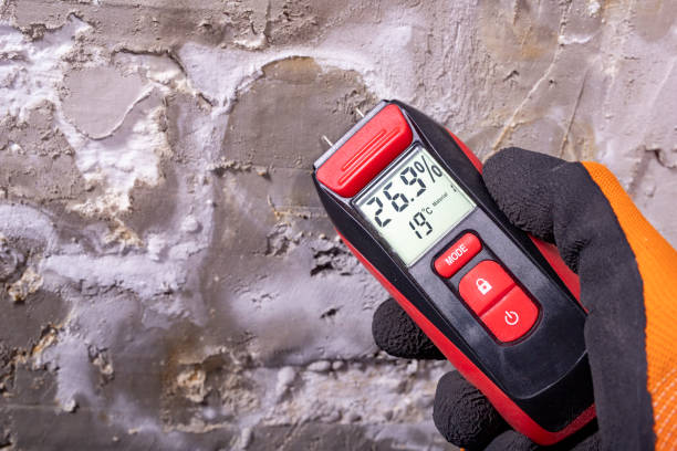 Best Mold Inspection  in Danville, CA