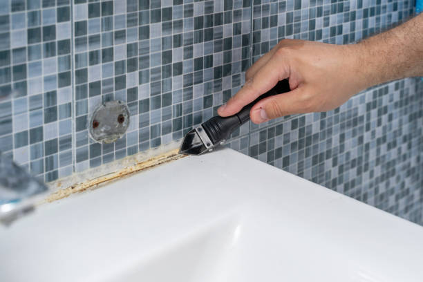 Professional Mold Removal in Danville, CA