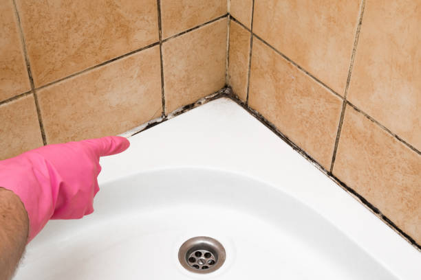 Water Damage Restoration in Danville, CA